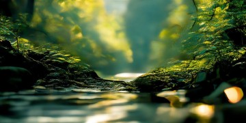 曾经的我烦恼很多究竟是哪首歌？