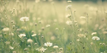 我心中那时光，什么歌最好听？