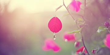 幸福里的泪水究竟是哪首歌？