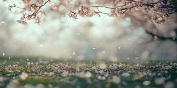 为情所困被爱所伤是哪首歌？
