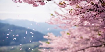 人间四月芳菲尽出自哪首歌？
