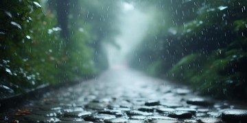 淅沥沥的小雨这句歌词出自哪首歌？