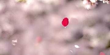 然后爱别人出自哪首歌？