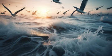 秦皇岛冰海鸥歌意义究竟何在？