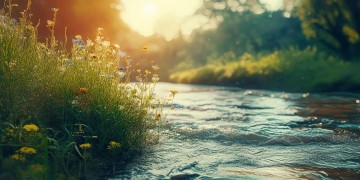 几年后重回河边究竟是哪首歌？