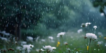 温柔的细雨出自哪首歌？