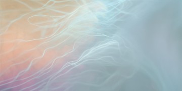 想你的时间有点长究竟是什么歌？