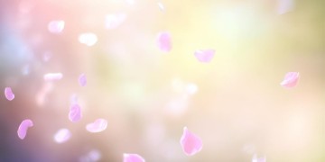 放下了执念和遗憾究竟是哪首歌？