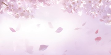 是你给的自由究竟是哪首歌？