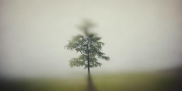 伤心你是怕伤害我到底是哪首歌？