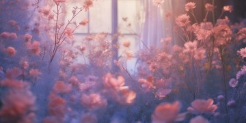女人为爱而生究竟是哪首歌？