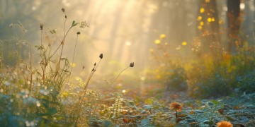 早上我们究竟该听什么歌？