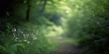 让我无法前行出自哪首歌？