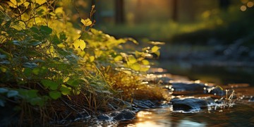 情感歌曲究竟属于什么类目的歌？