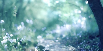曾经一个会不会来到底是哪首歌？