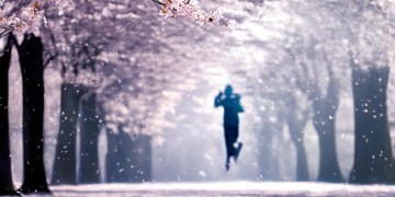 樱花跑酷配什么歌才最搭？