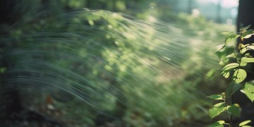 听风的声音这句歌词出自哪首歌？