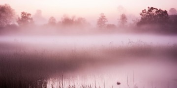 清晨总是很疲惫究竟是哪首歌？