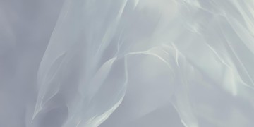 致我们苍白的青春出自哪首歌？