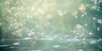 几多得失几多委屈究竟是哪首歌？