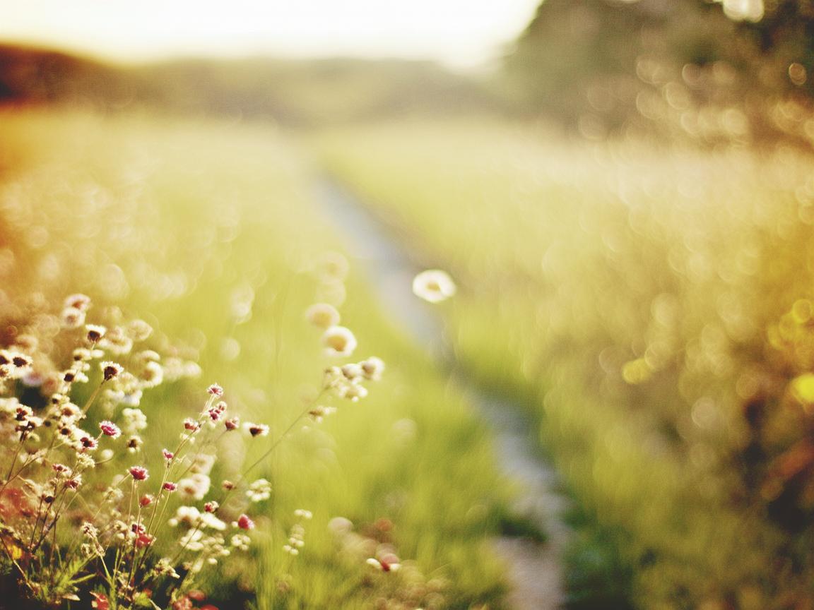 我怕我没机会跟你说一声再见到底是什么歌? 我怕我没机会跟你说一声再见到底是什么歌?