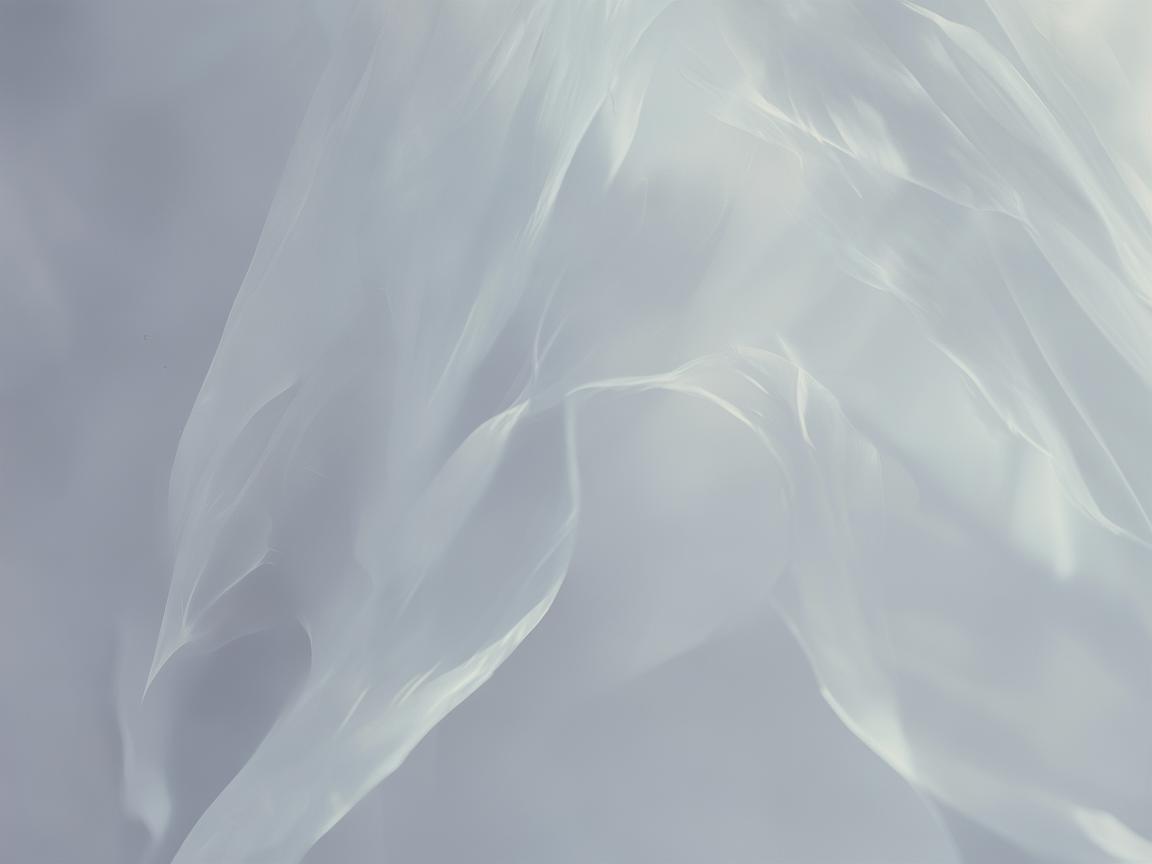 致我们苍白的青春出自哪首歌？